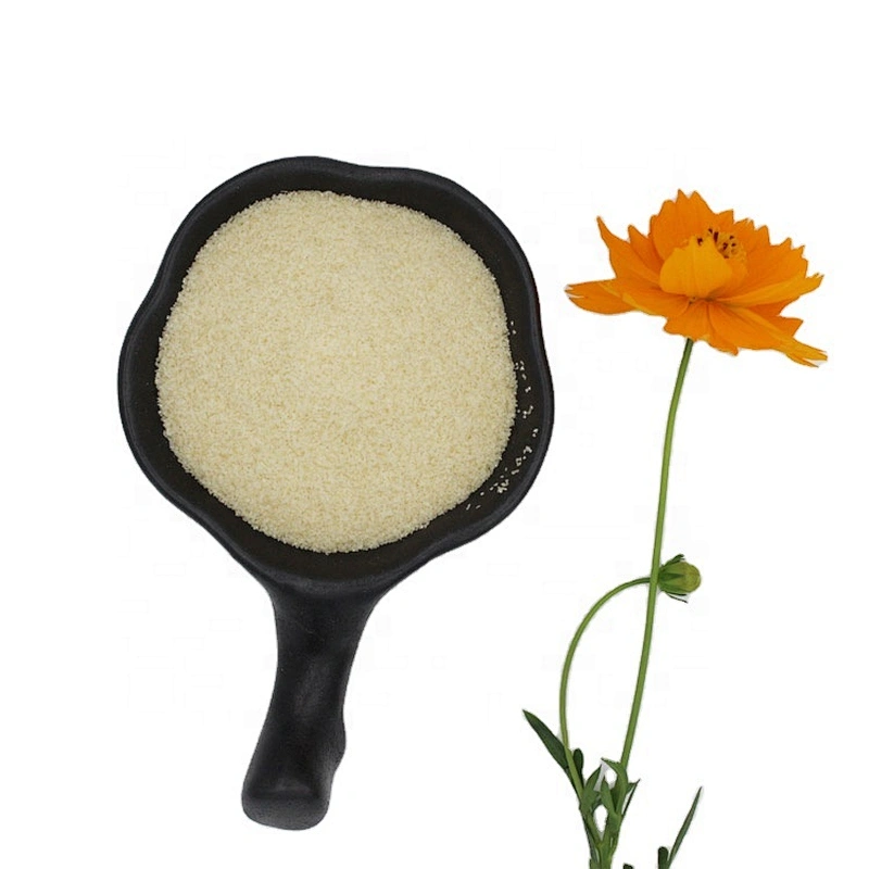 Professional Halal Edible Gelatina Food Grade Gelatin Powder 180bloom with Best Price